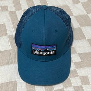 Patagonia P-6 Logo LoPro Trucker Hat in Blue